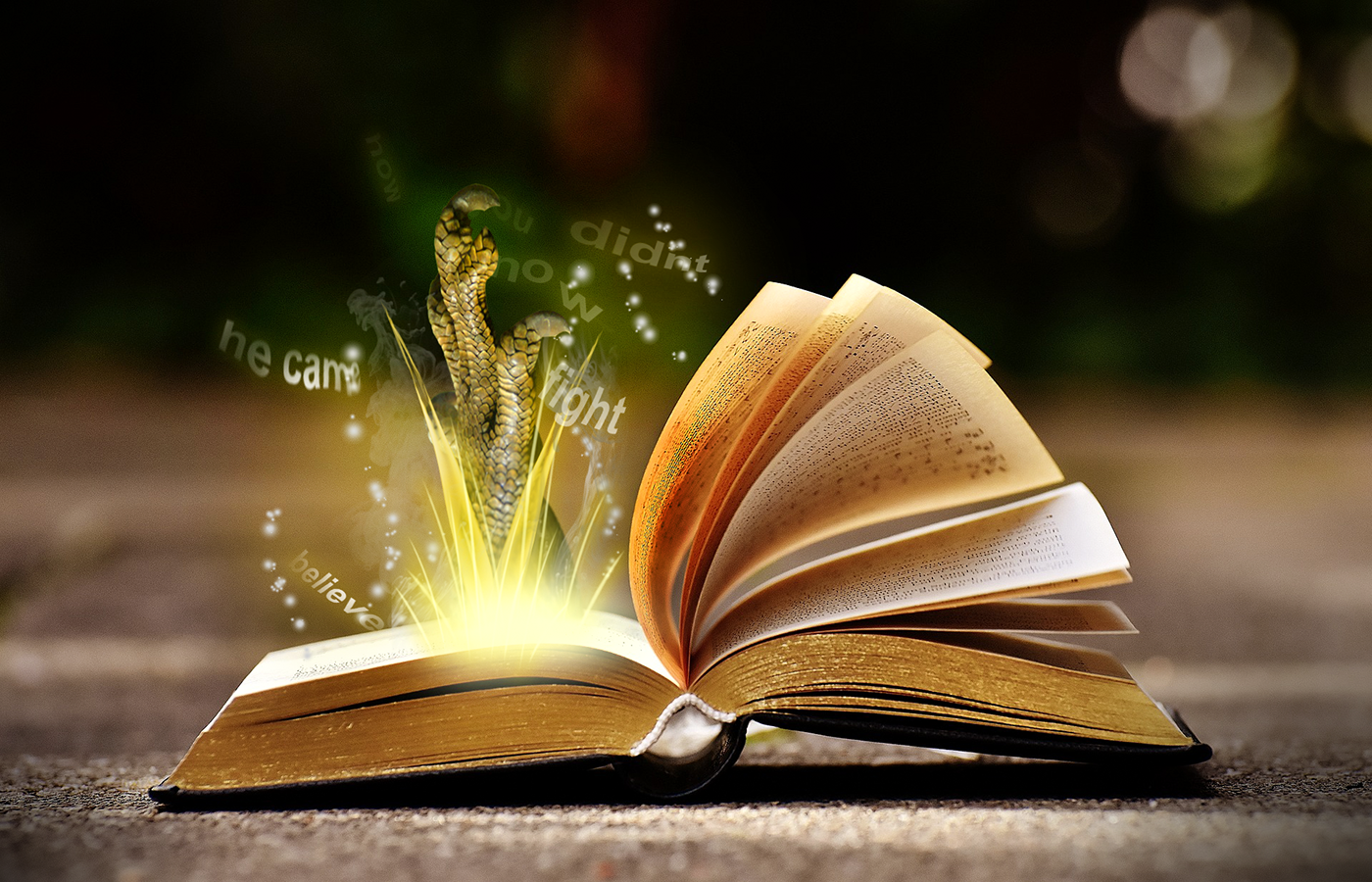 Book
